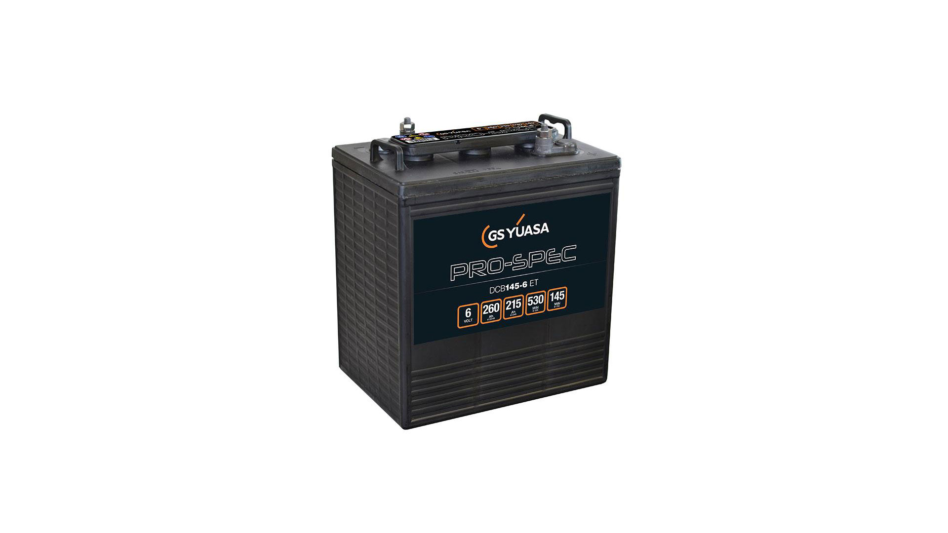  GY-DCB145-6(ET) 6V 145AH GS Yuasa Pro-Spec Battery 