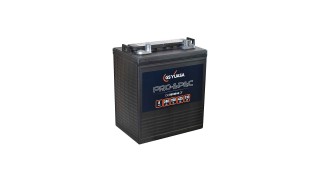 GY-DCB8125-8(DT) 8V 110AH GS Yuasa Pro-Spec Battery
