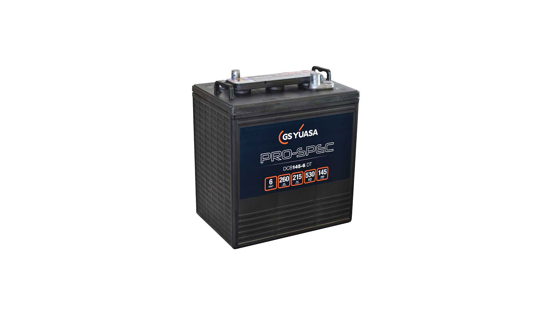 GY-DCB145-6(DT) 6V 145AH GS Yuasa Pro-Spec Battery